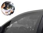 Moustiquaire de vitre arrière pour voiture noir 2pcs