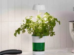 Lampa panel do uprawy wzrostu roślin 6 led 4 uv doniczka samonawadniająca