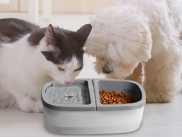 Purskkaevu kassi kauss koera vee ja toidu automaatne jootaja 2in1 usb