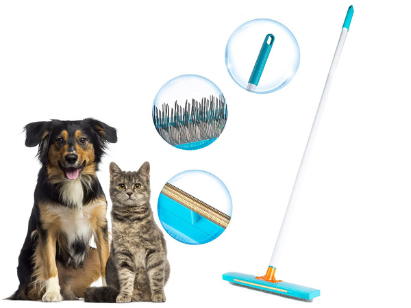 Brush to pick up dog hair removal from carpet carding