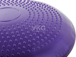 Sensomotor cushion disc hedgehog rehabilitation cushion