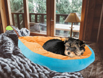 Plüschbett kissen hund laufstall katze weiche couch bettzeug