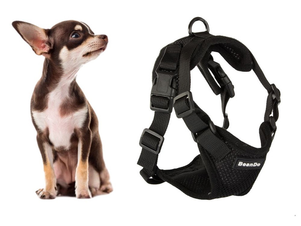 Close-clip walking harness for small dog handle light soft strong s