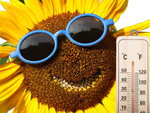 Domestic wood indoor outdoor thermometer