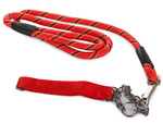 Dog lanyard 120cm/1.3cm collar fuerte