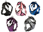 Harness for dog walk light soft strong l