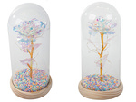 Rose éternelle dans une boîte en verre lumineuse avec led cadeau pour la journée de la femme