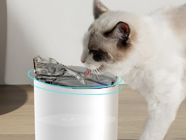 Drinking fountain cat dog bowl automatic + filter 2l movement sensor