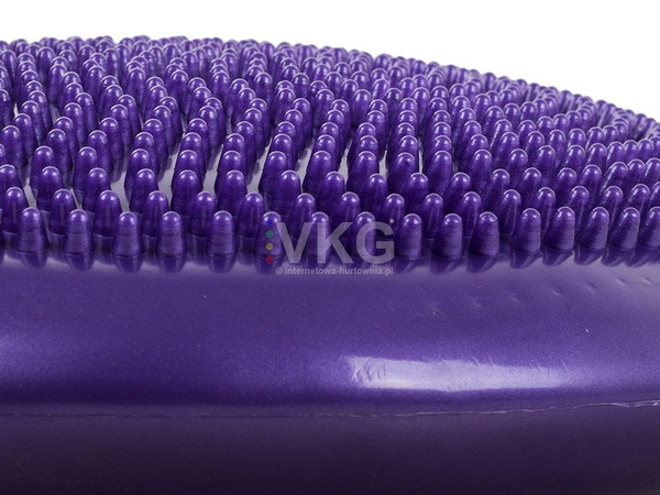 Sensomotor cushion disc hedgehog rehabilitation cushion