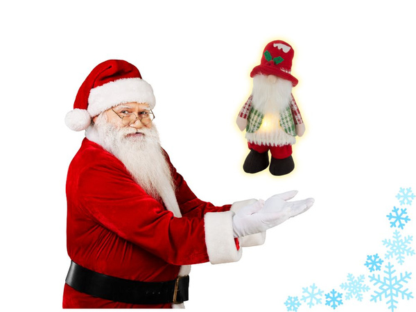 30cm ghost ghost lighted led bird árbol de navidad gnomos