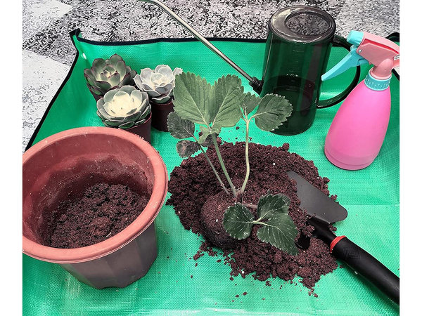 Grand tapis de transplantation pour planter des fleurs semis jardin porte-greffe