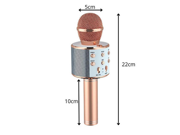 Wireless microphone bluetooth karaoke speaker round with case various modes