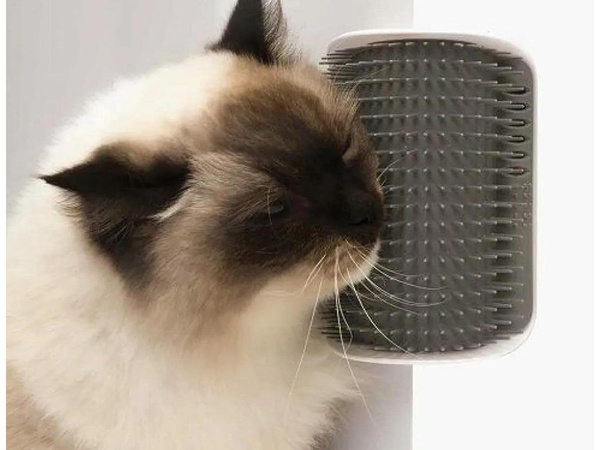 Škrabadlo pro kočky škrabadlo pro kočky rohové škrabadlo pro kočky škrabadlo pro kočky