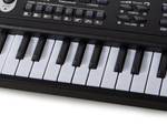 Elektronische orgel für baby-keyboard-mikrofon