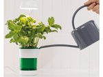 Plant growth panel lamp 6 led 4 uv self watering pot
