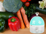 Electric garlic vegetable chopper