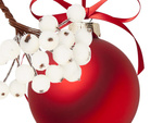 Décoration de noël en sorbier blanc givré 5 pcs