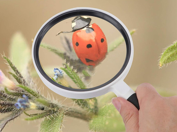 Classic reading glass 95mm