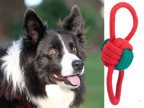 Perro juguete masticar tirar de la cuerda fuerte de largo