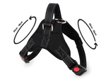 Sturdy, non-pressure harness for dogs handle lightweight s