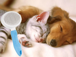 Self-cleaning hair brush for dogs cats