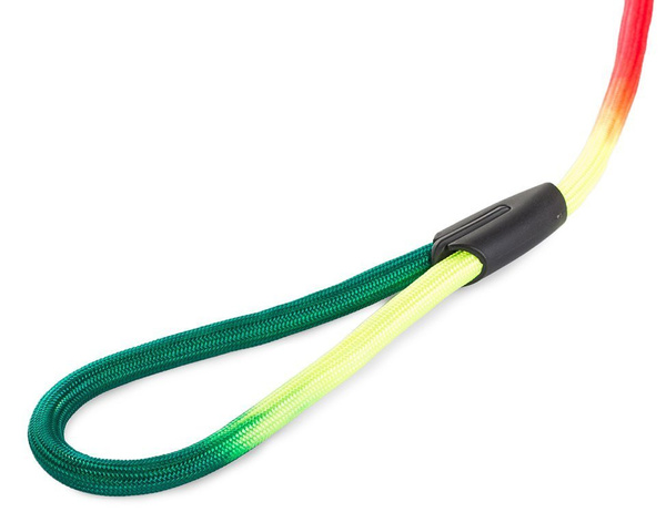 Dog lanyard tradițional 120cm/1.2cm strong