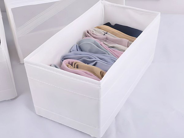 Bra organiser underwear socks clothes drawer wardrobe white