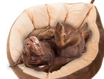 Cama de felpa cojín perro corralito gato suave sofá ropa de cama