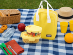 2x glass food containers with lids heat-resistant thermal bag