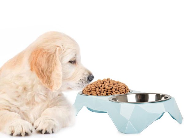 Metal dual dog box 350ml x 2