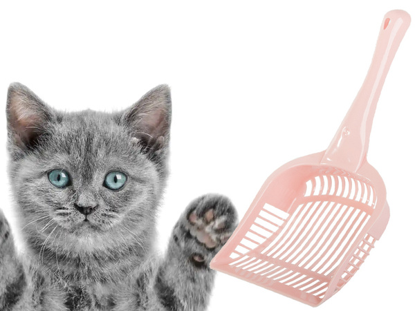 Macskaalmozdoboz lapát nagy lapát