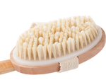 Brosse de massage humide et sec pour le dos