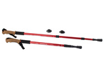 Nordic walking cork walking stick