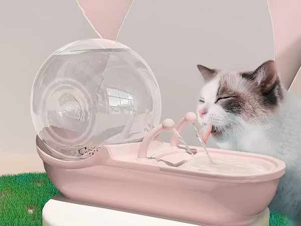 Automātiskais dzirdinātājs kaķu suņu ūdens strūklakai filtrs dzirdinātājs bļoda gliemežvāks