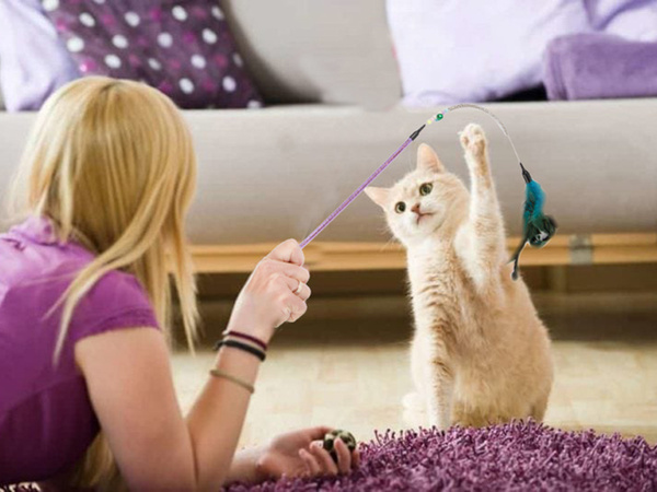 Cat toy fishing rod feather rattle play toy