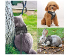 Porte-manteau sans pression pour chien chat lapin doux fort réflecteur m