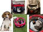 Corral plegable para perros cama para gatos jaula grande perrera ligera