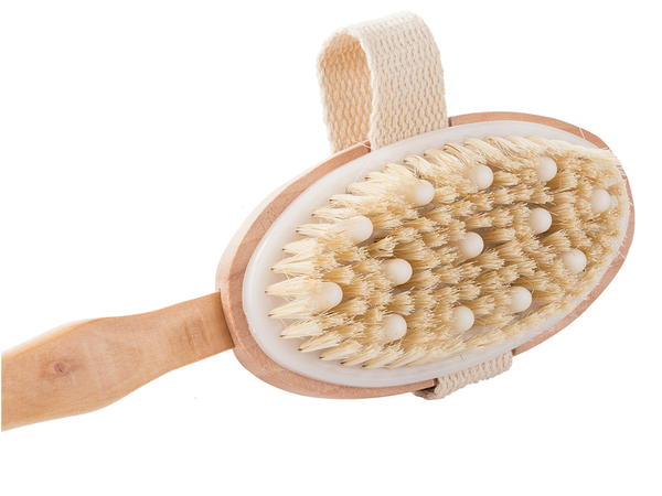 Brosse de massage humide et sec pour le dos