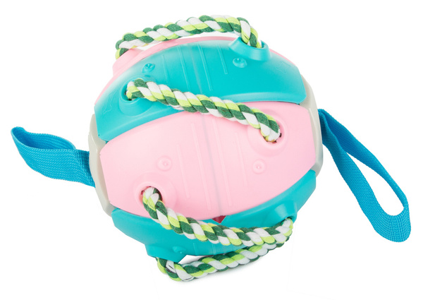 Koera mänguasi frisbee pall lendav ketas närimislelu