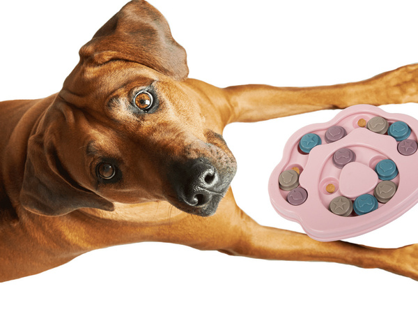 Educational dog toy logical treat game olfactory puzzle game