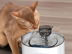 Bebedero gato perro cuenco automatico + filtro 2l sensor de movimiento