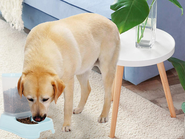 Koeratoidu dosaator kassitoidu kauss automaatne