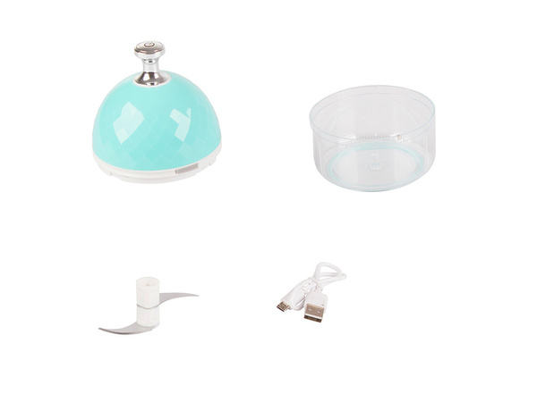 Electric garlic vegetable chopper