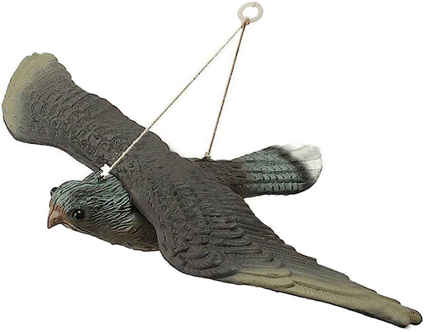 Ahuyentador de aves estorninos palomas roedores halcón