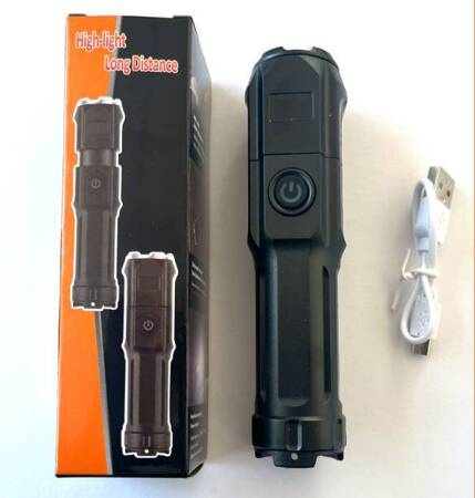 FLASHLIGHT 81020 (240)