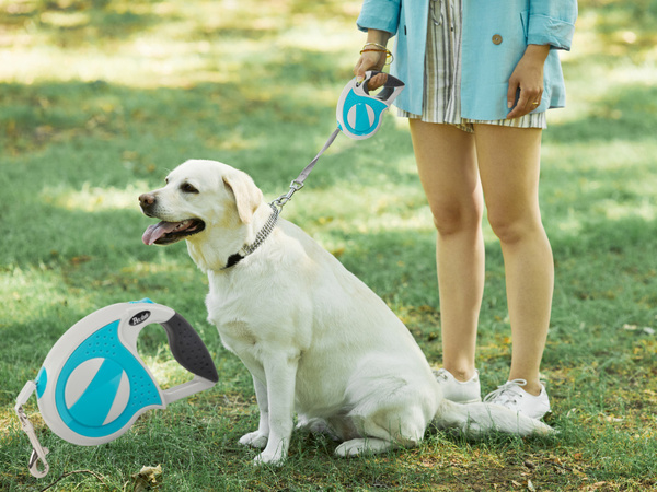 Laisse automatique 5m pour chien jusqu'à 20kg avec cadenas fort long