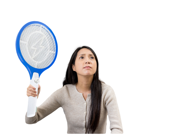 Attrape-mouches électrique pochette à pattes moustiques mites mouches