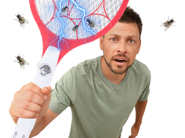 Elektriline kärbsepüüdja palett kärbsepüüdja pakett sääsed koid akum.