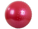 Fitness gymball 75cm črpalka za vadbo