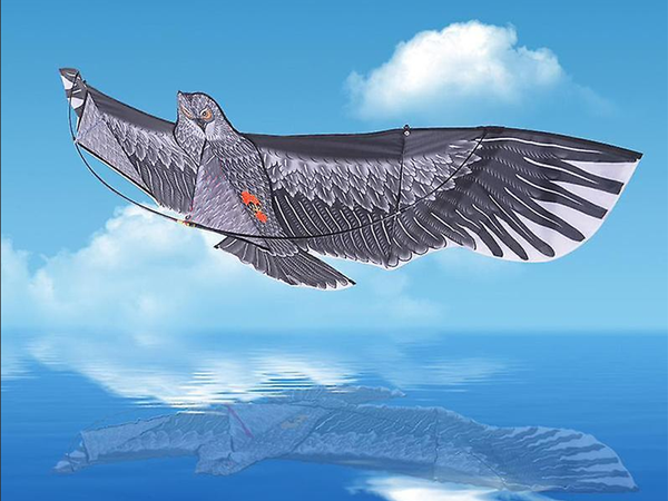 Aitvaras "bird eagle" 2 m paukščių atbaidymo priemonė su virvele